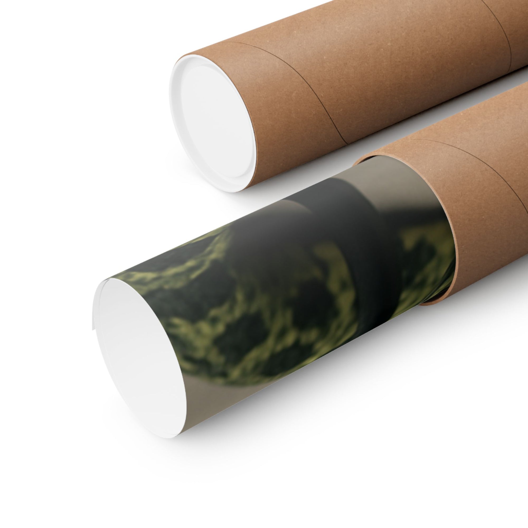Edgy Snake Art Poster, Not Your Soft Kind of Pretty Print