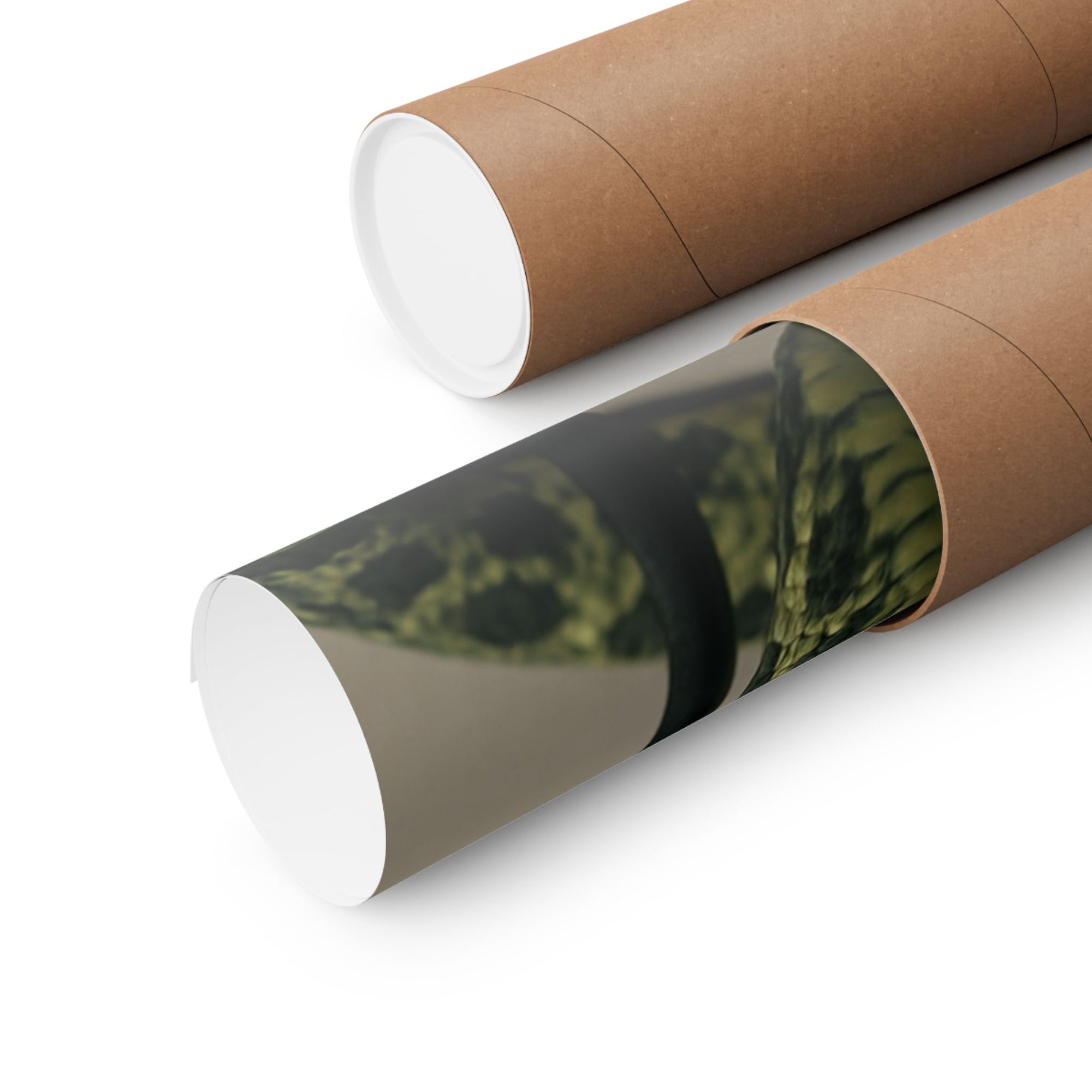Edgy Snake Art Poster, Not Your Soft Kind of Pretty Print