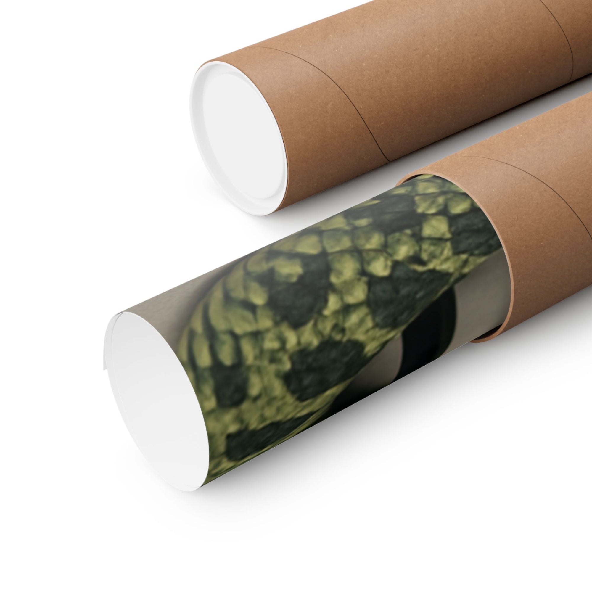 Edgy Snake Art Poster, Not Your Soft Kind of Pretty Print