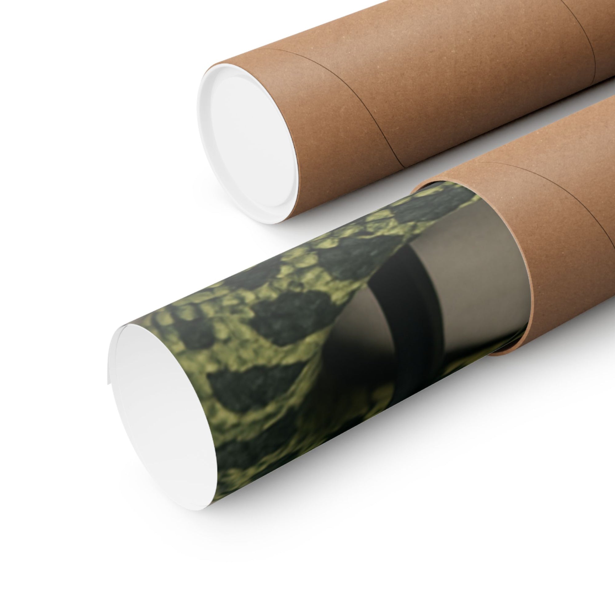 Edgy Snake Art Poster, Not Your Soft Kind of Pretty Print