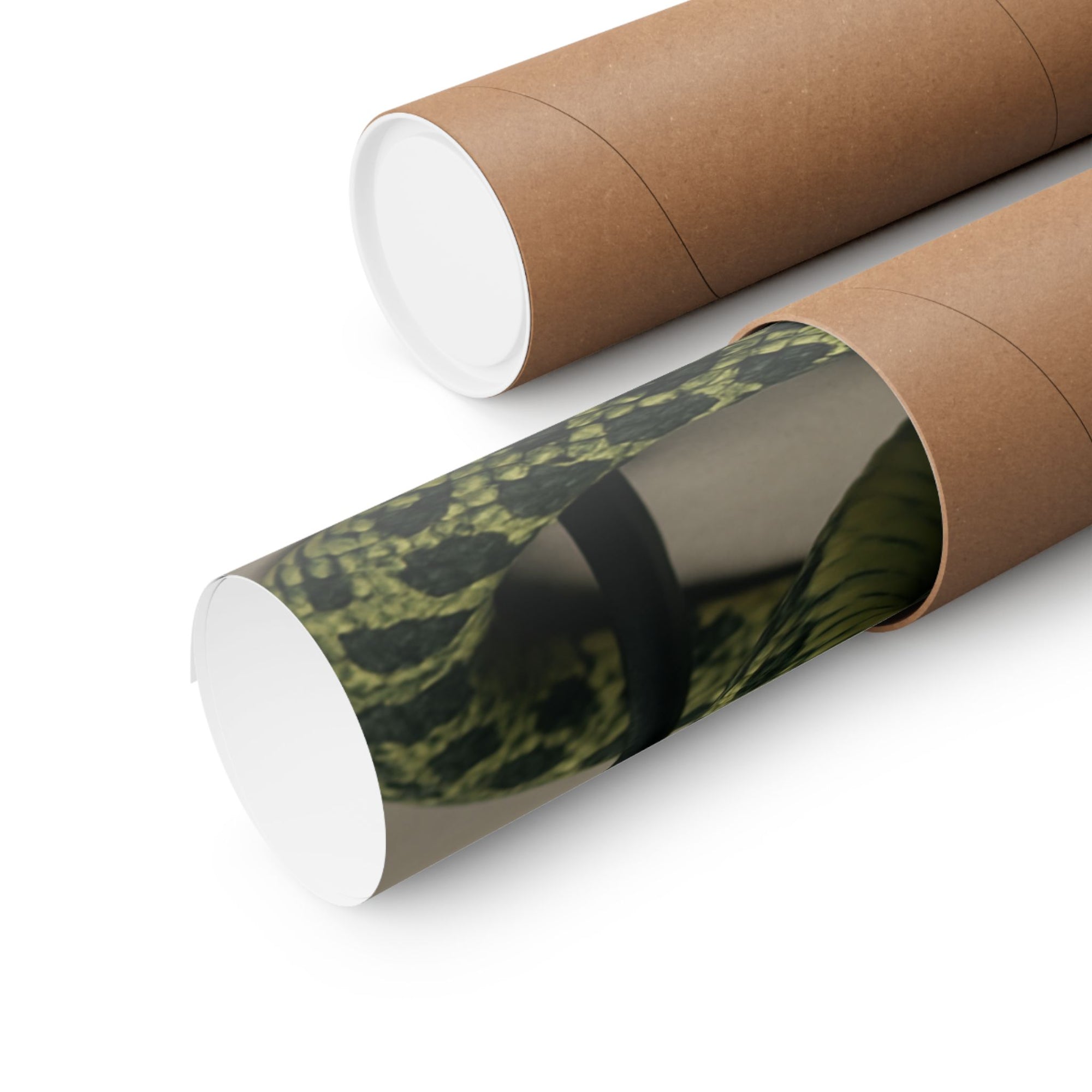 Edgy Snake Art Poster, Not Your Soft Kind of Pretty Print