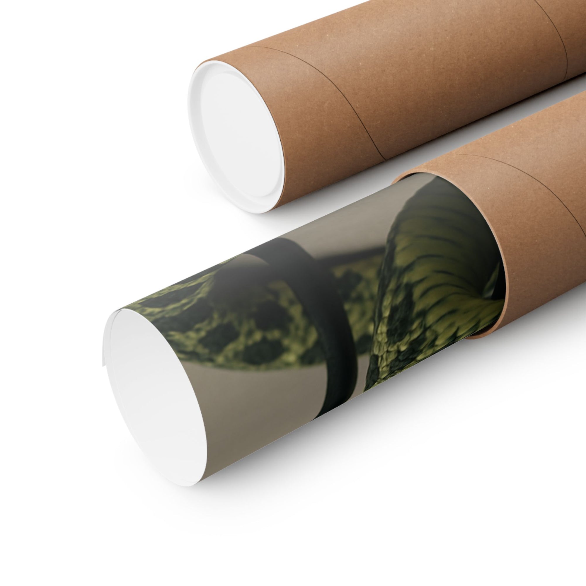 Edgy Snake Art Poster, Not Your Soft Kind of Pretty Print