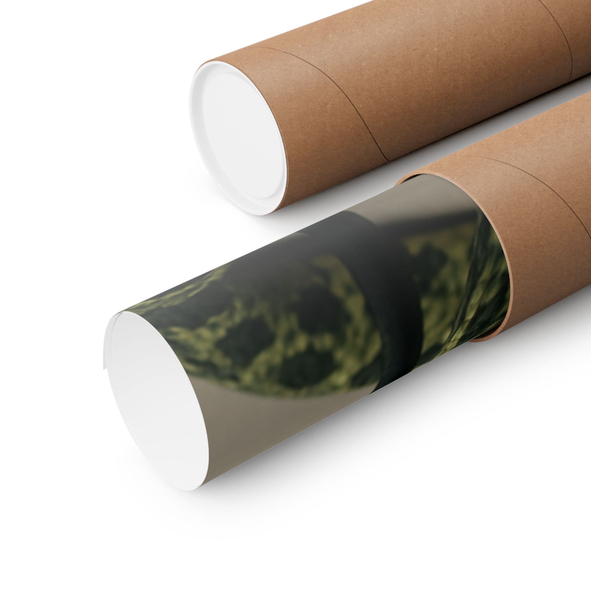 Edgy Snake Art Poster, Not Your Soft Kind of Pretty Print