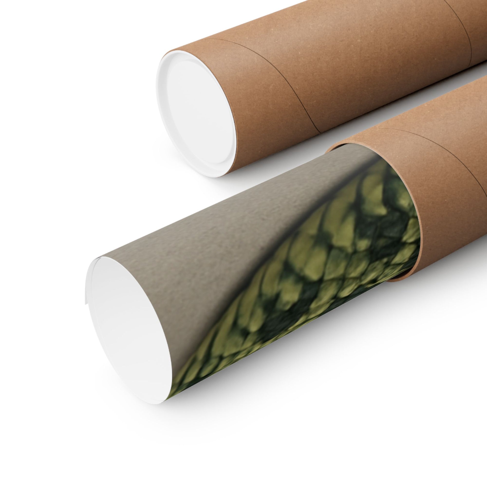 Edgy Snake Art Poster, Not Your Soft Kind of Pretty Print