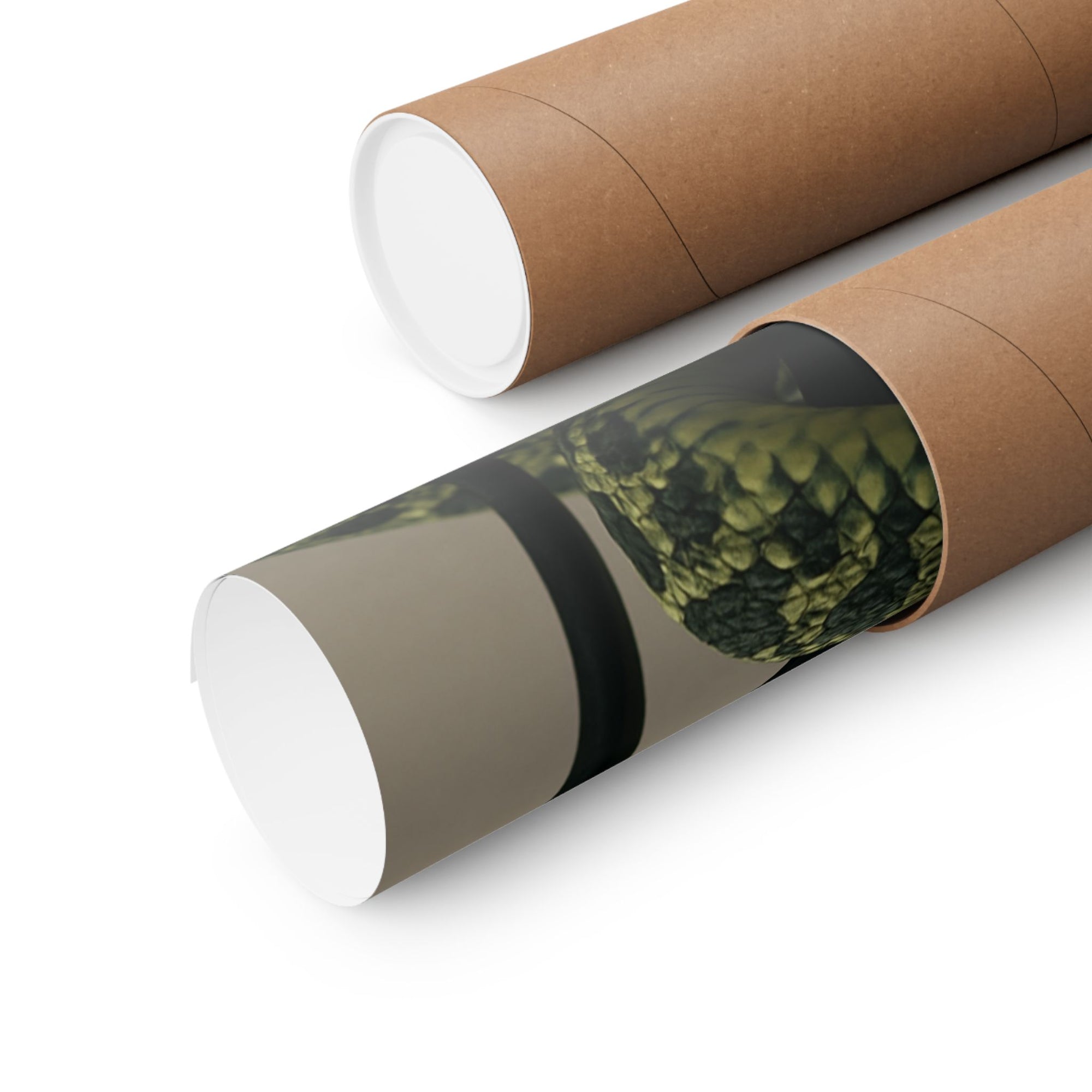 Edgy Snake Art Poster, Not Your Soft Kind of Pretty Print